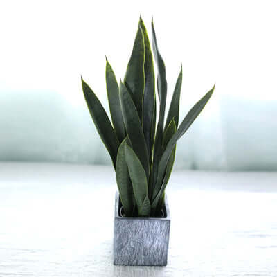 Nordic Faux Potted Plant for Home Decor (Tabletop)